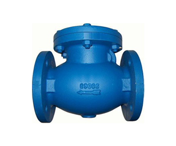 Check Valve Flange Type, Flanged Check Valves Supplier | Hebei Leading