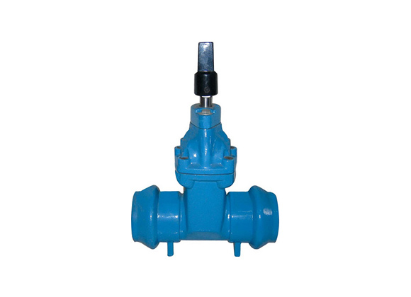 ZRIN-SC1 NRS Socket End Flanged Gate Valves Supplier | Hebei Leading