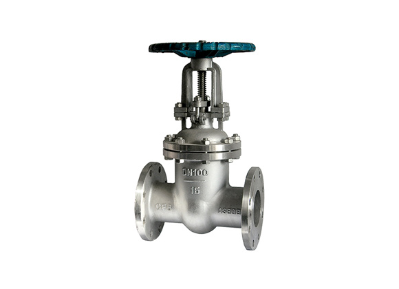 Stainless Steel Flanged Gate Valves Supplier | Hebei Leading