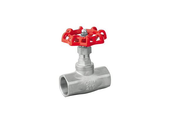 NPT Globe Valve | Hebei Leading