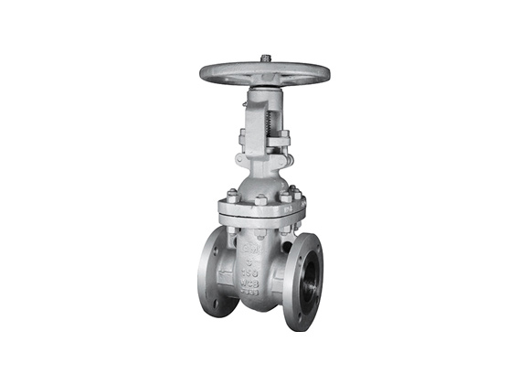 Gate Valve WCB Body Supplier | Hebei Leading