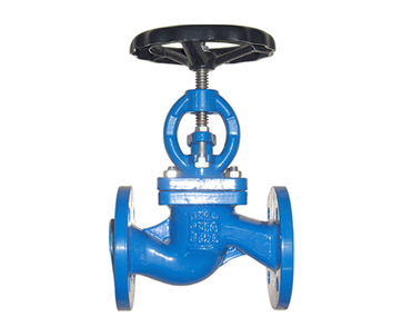 Mastering Globe Valve Flanges: Types and Applications in Industrial Settings – Hebei Leading Metals & Piping Industries Co., Ltd.