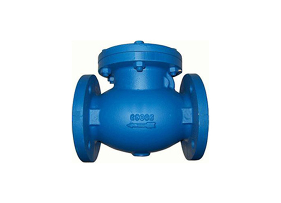 Flanged Swing Check Valve Supplier | Hebei Leading