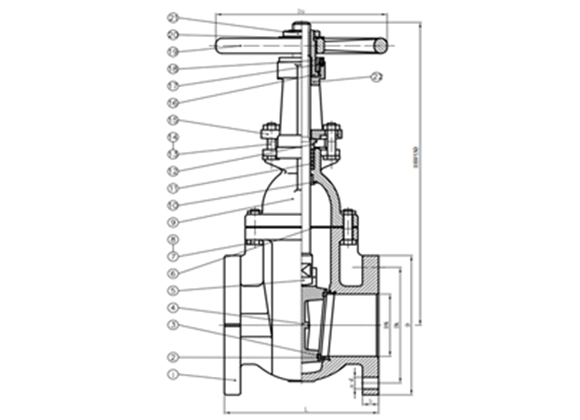 ZMIO-A1 O.S.&Y. Flanged Gate Valves