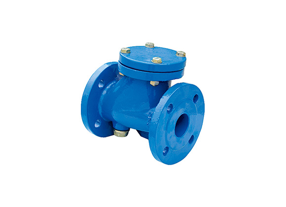 Flanged Ball Check Valve Supplier | Hebei Leading