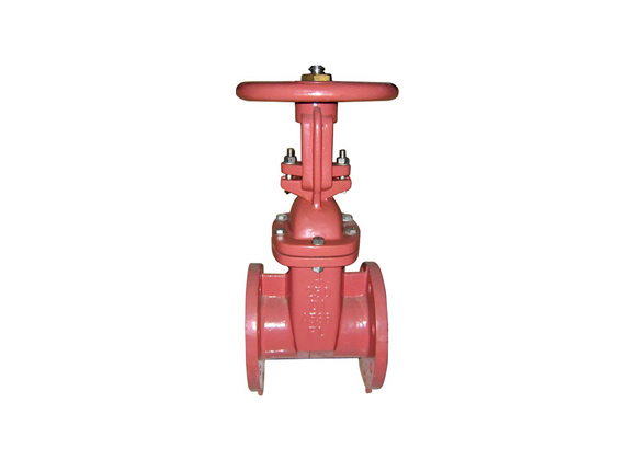 DI Body Flanged Gate Valves Supplier | Hebei Leading