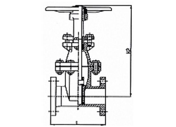 ZRIO-A1 DI Body Flanged Gate Valves