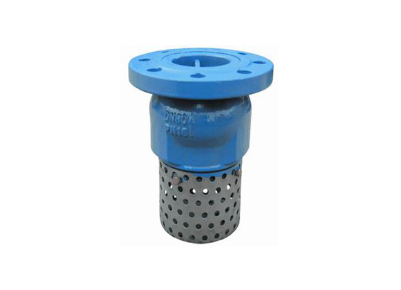 Ductile Iron Foot Valve Manufacturer | Hebei Leading