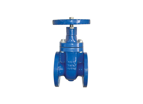 ZMIN-D41 Ductile Iron Body Flanged Gate Valves Supplier | Hebei Leading