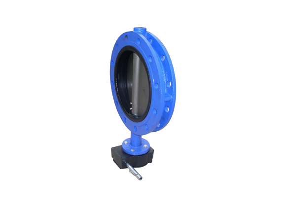 U Type Butterfly Valve, U Type Butterfly Valve Manufacturer | Hebei Leading