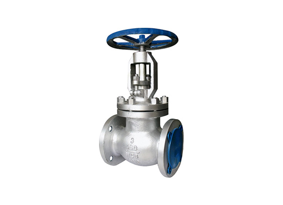 WCB Globe Valve Supplier | Hebei Leading