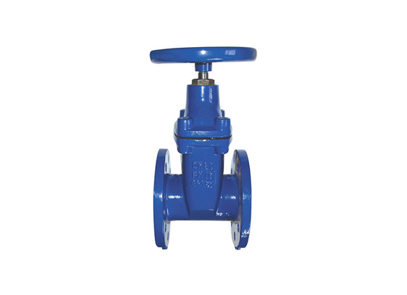 Resilient Seal Gate Valve Supplier | Hebei Leading