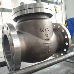 t & p valve
