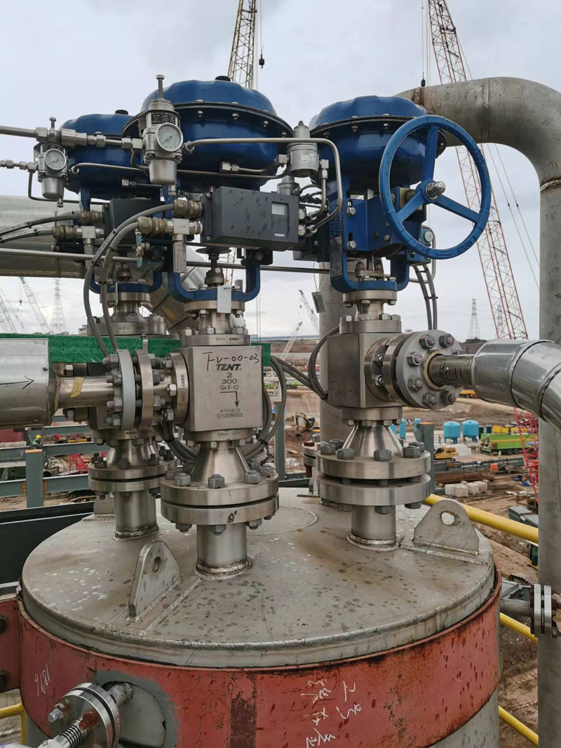 sewer backflow preventer valve
