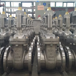 Monel Gate Valves